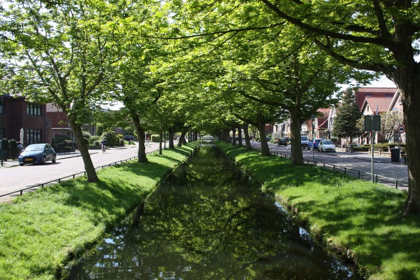 Rustige gracht met bomen en grasbermen tussen de woonhuizen in Spakenburg