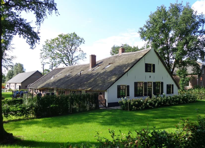 Witte boerderij met rieten dak en hortensia's aan de Wakkerendijk in Eemnes