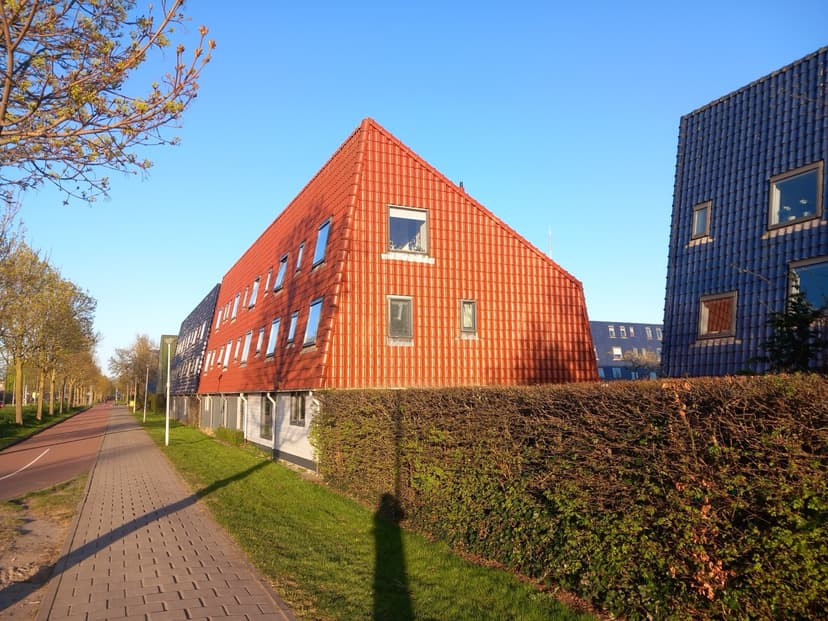 De opvallende huizen met dakpannen tot op de grond in Het Staatse, Zenderpark