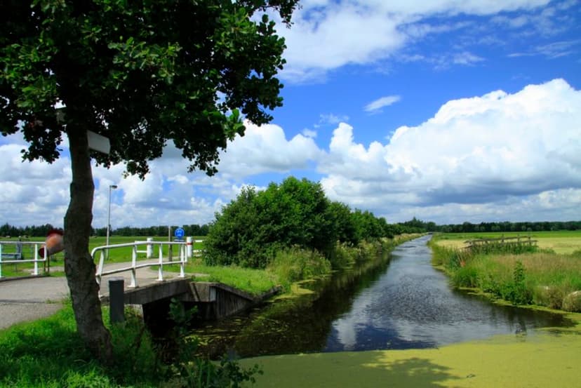 Sloot en weilanden langs de Diemerbroek bij Papekop