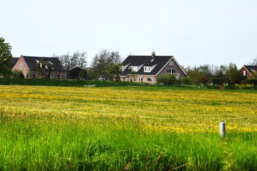 Woonhuizen achter een bloeiend weiland in Snelrewaard