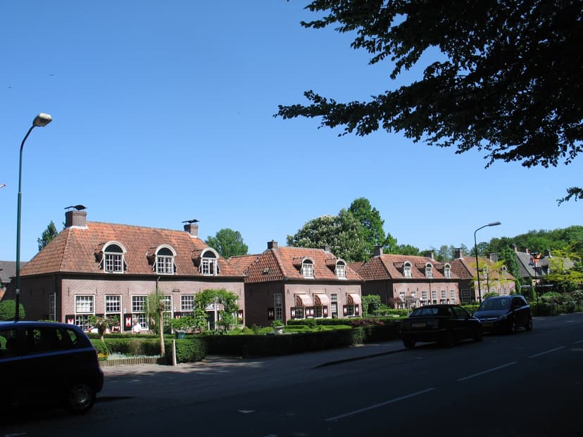 Rij oude dorpshuizen met rode pannendaken en voortuinen aan de Dorpsstraat in Renswoude