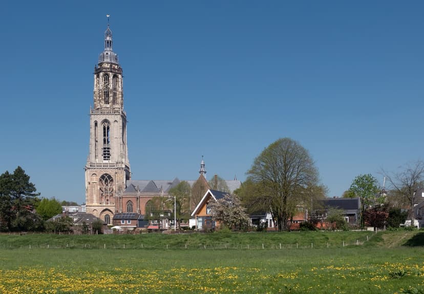 De hoge Cuneratoren en de Cunerakerk boven de huizen van Rhenen, gezien vanuit de uiterwaarden vol paardenbloemen