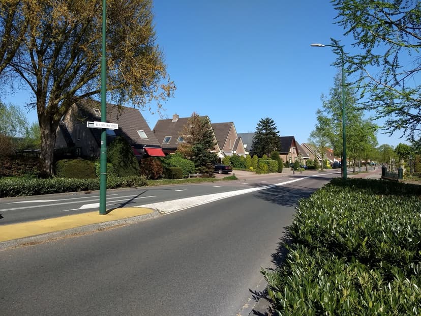 Vrijstaande huizen met tuinen langs de groene Buurtlaan Oost in Veenendaal