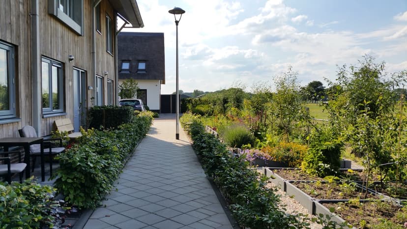 Rijtjeshuizen met moestuinbakken in Het Groene Woud