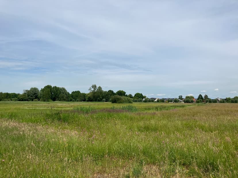 Natuurgebied De Hel met bloeiend grasland aan de rand van Veenendaal-Zuidoost