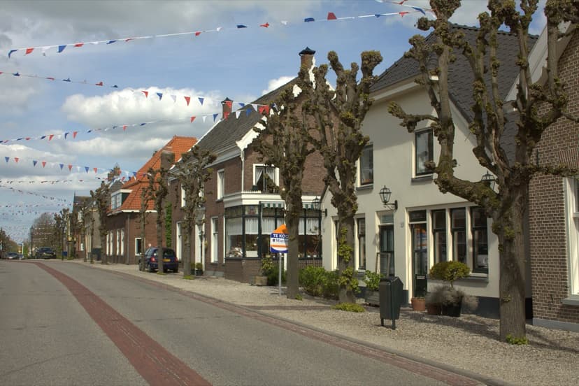 Huizen met geknotte lindes aan de Dorpsstraat in Schoonrewoerd
